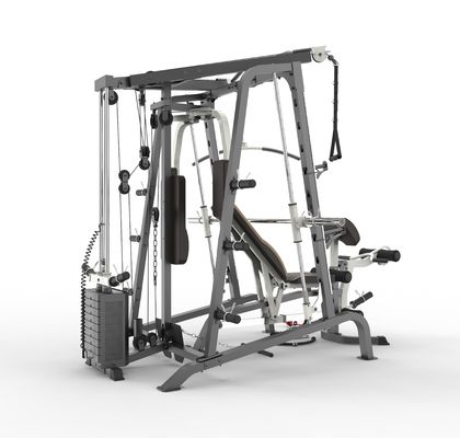 Доступный Домашний тренажерный зал Smith Machine For Home Mutli Function Station 20'/unit 42 Modern Style